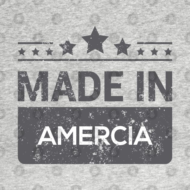 Made IN USA by Adys